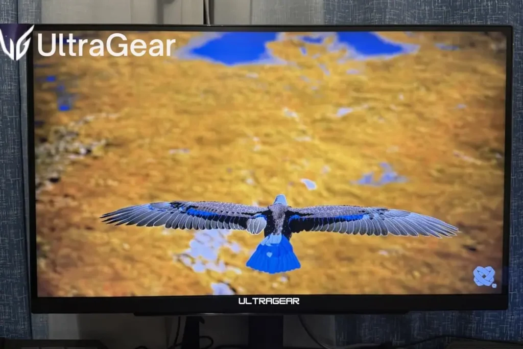 Best Budget Gaming Monitors