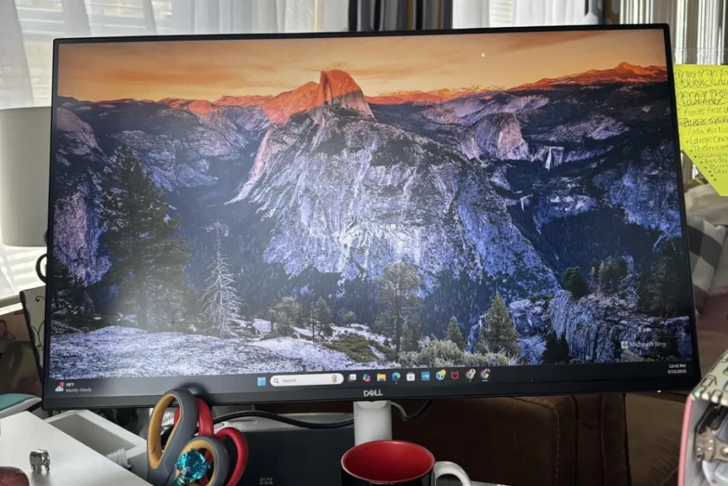 Dell 24 Plus Monitor